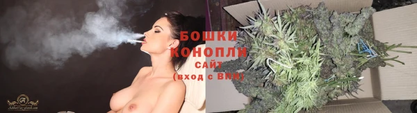 мдпв Володарск