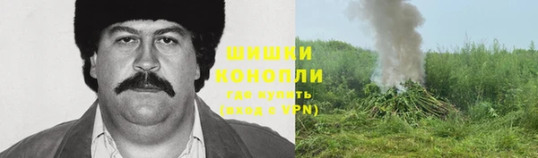 прущие крисы Горняк