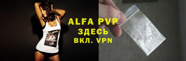 прущие крисы Горняк