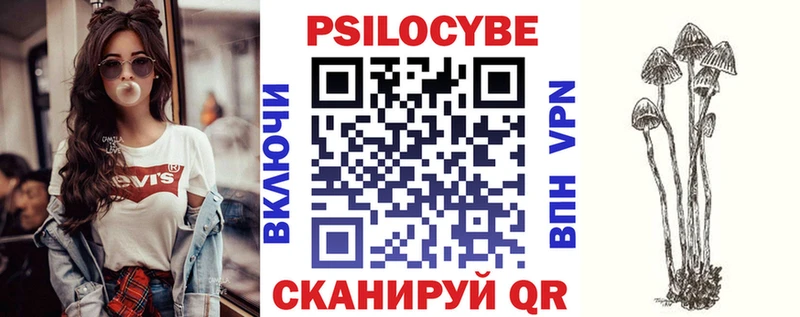 ОМГ ОМГ ссылка  Камышлов  Псилоцибиновые грибы мицелий 